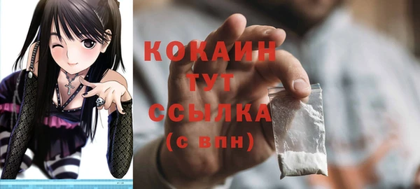 крисы Пересвет
