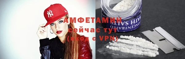 прущие грибы Переславль-Залесский