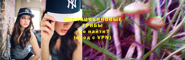 прущие грибы Переславль-Залесский