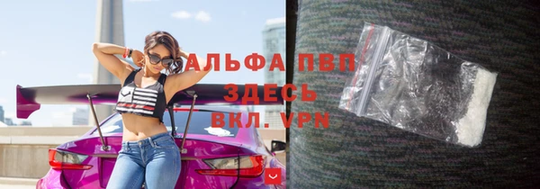 apvp Алзамай