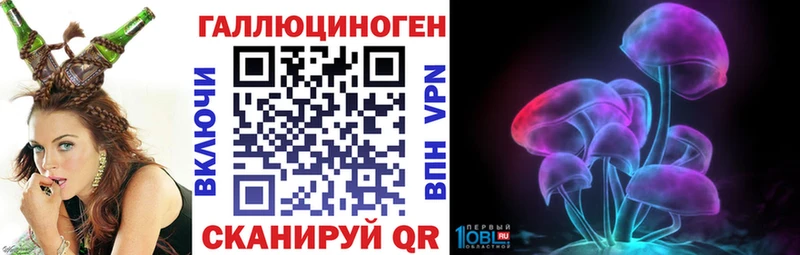 где купить наркоту  Староминская  Галлюциногенные грибы Psilocybe 